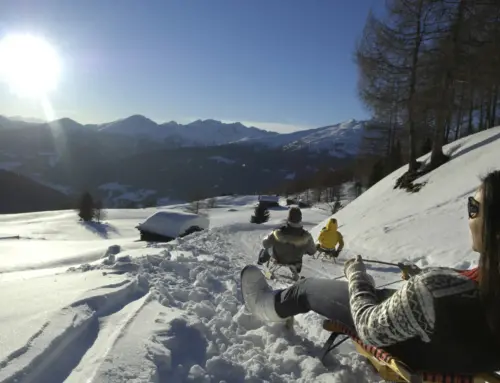 Skifahren & Snowboarden im Skigebiet Mendel